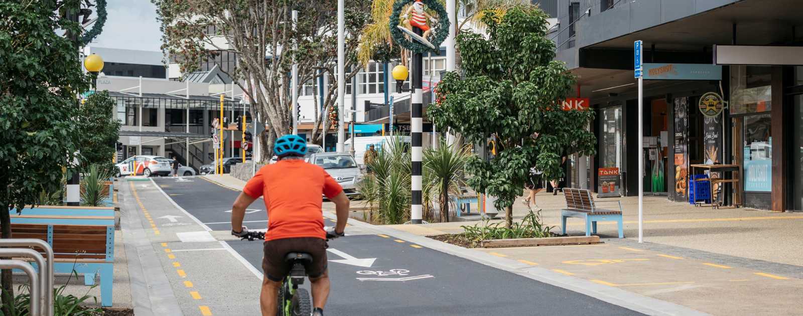 Hurstmere Road Transformation