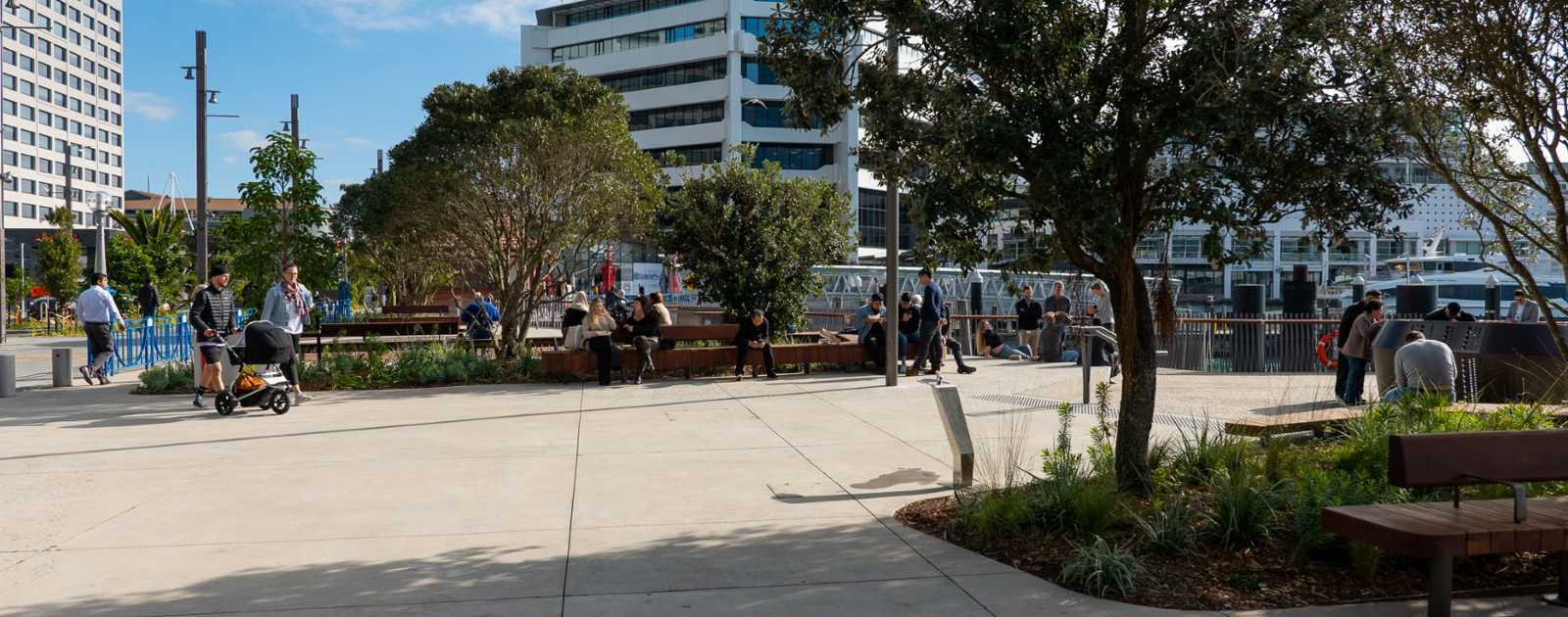 Te Wānanga downtown waterfront